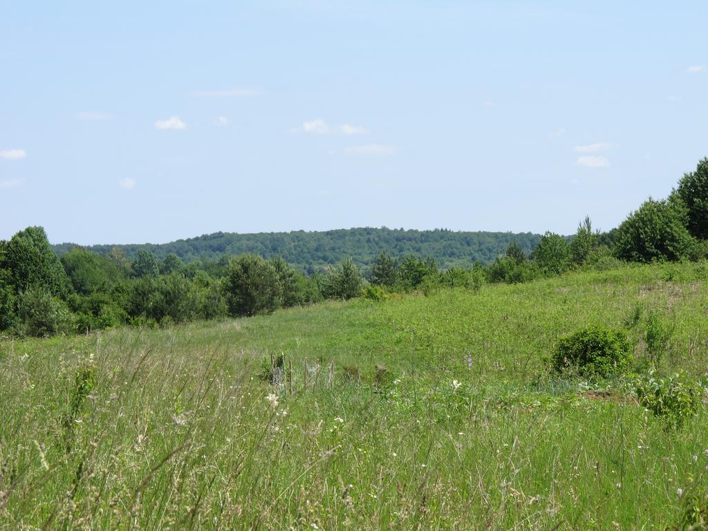 Guesthouse Rupcic Grabovac  Buitenkant foto